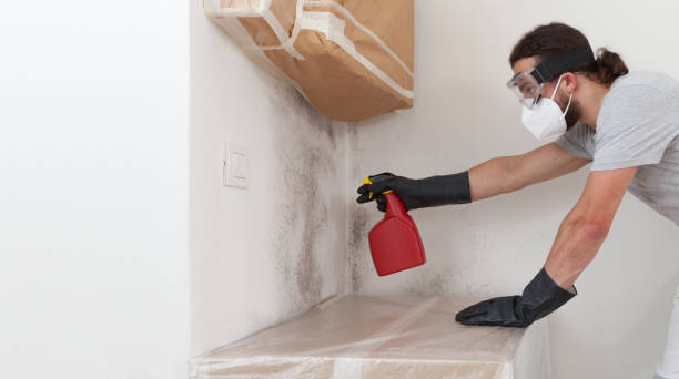 Professional Black Mold Removal technician working in Waldwick, NJ